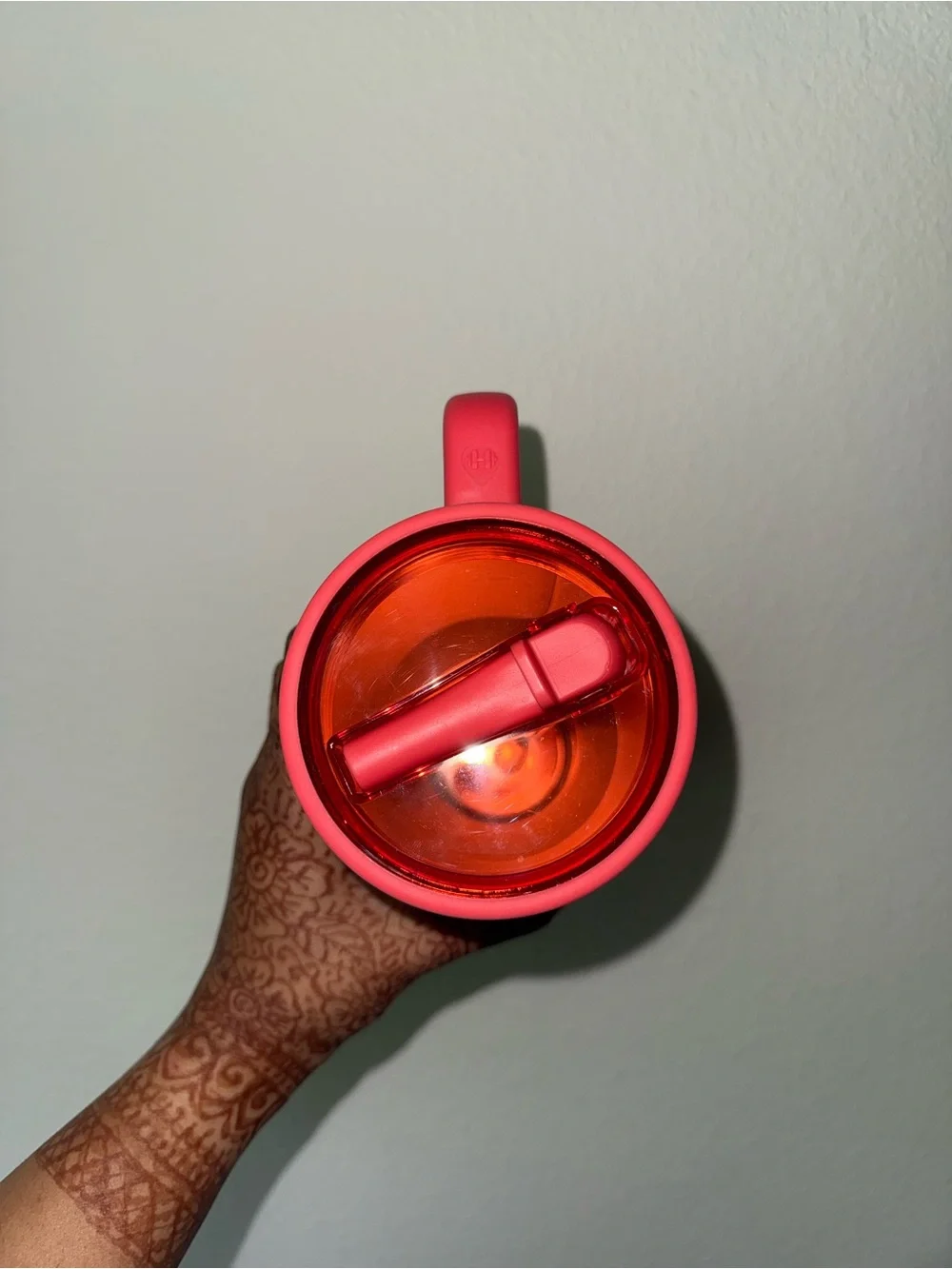 strawberry hydrojug